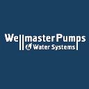 Wellmaster Pumps & Water Systems logo